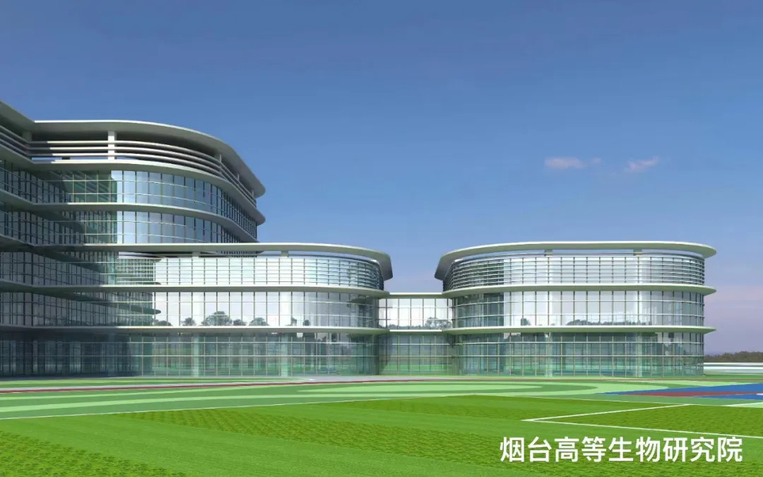 大跨度 高精度 超節能|鳳鋁助力菸臺城市更新,展登州新貌